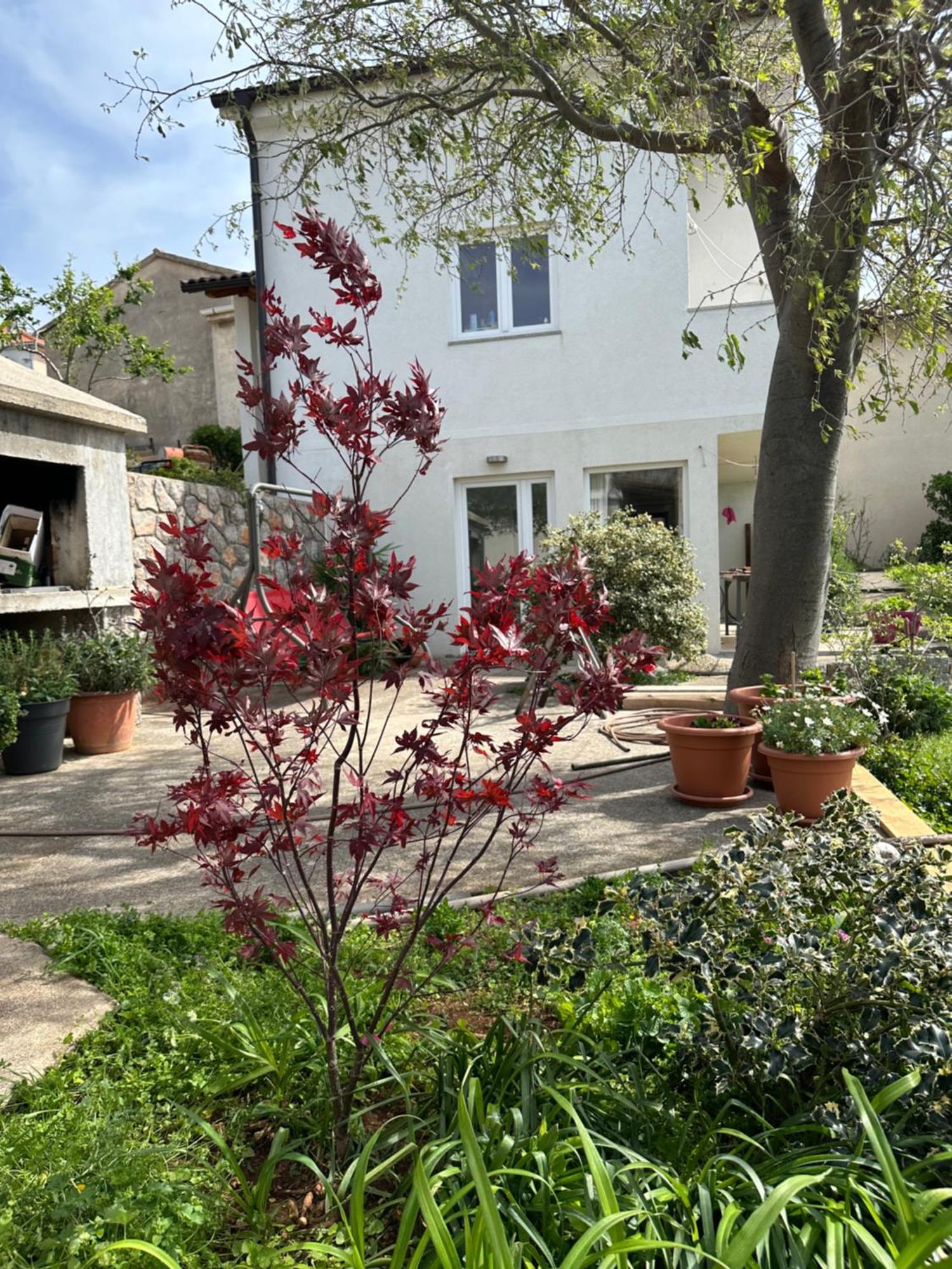 Villa Beba - Apartments Senj  Luaran gambar